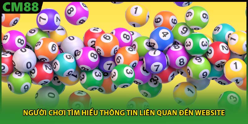 Người chơi tìm hiểu thông tin liên quan đến website